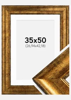Ramme Saltsjöbaden Guld 35x50 cm - Passepartout Hvid 11x17 inches