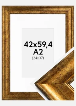 Ramme Saltsjöbaden Guld 42x59,4 cm (A2) - Passepartout Hvid 25x38 cm