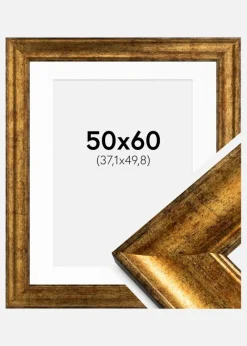 Ramme Saltsjöbaden Guld 50x60 cm - Passepartout Hvid 15x20 inches