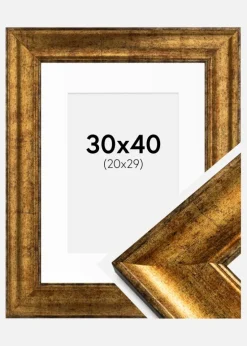 Ramme Saltsjöbaden Guld 30x40 cm - Passepartout Hvid 21x30 cm