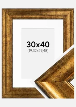 Ramme Saltsjöbaden Guld 30x40 cm - Passepartout Hvid 8x12 inches