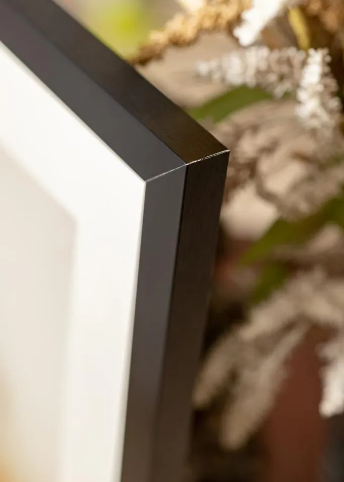 Ramme Åsarna Blank Sort - Valgfri Størrelse (Plexiglas)