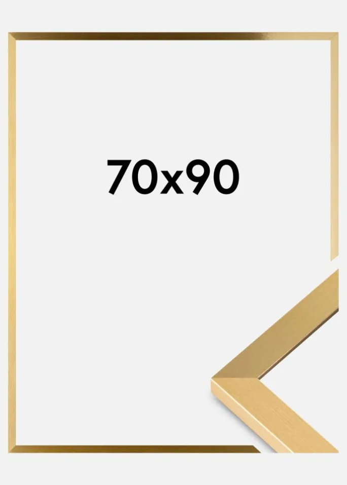 Ramme Selection Akrylglas Guld 70x90 cm