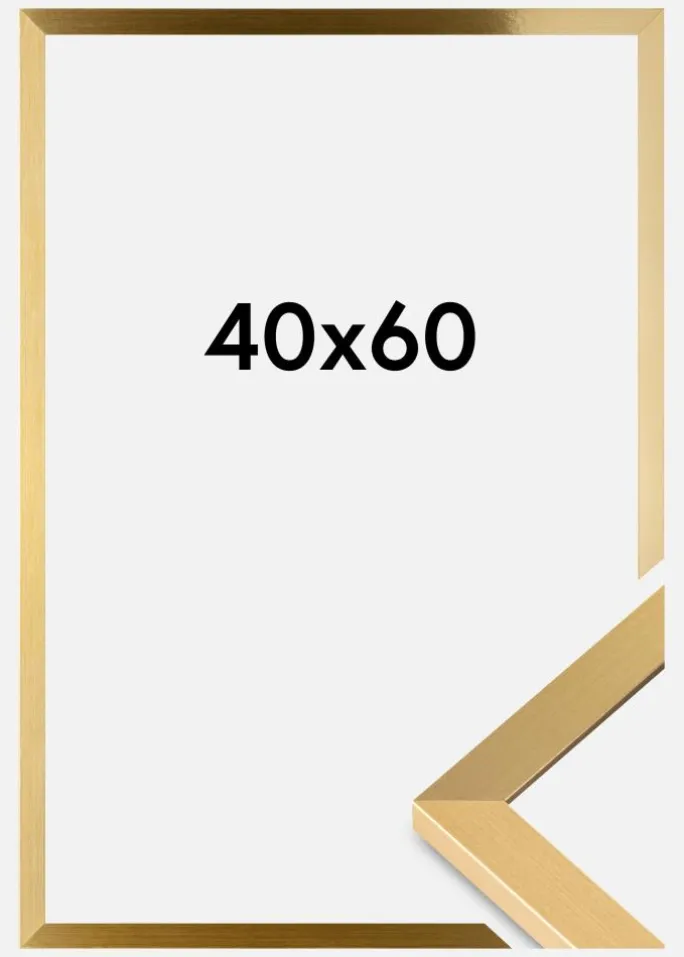 Ramme Selection Akrylglas Guld 40x60 cm