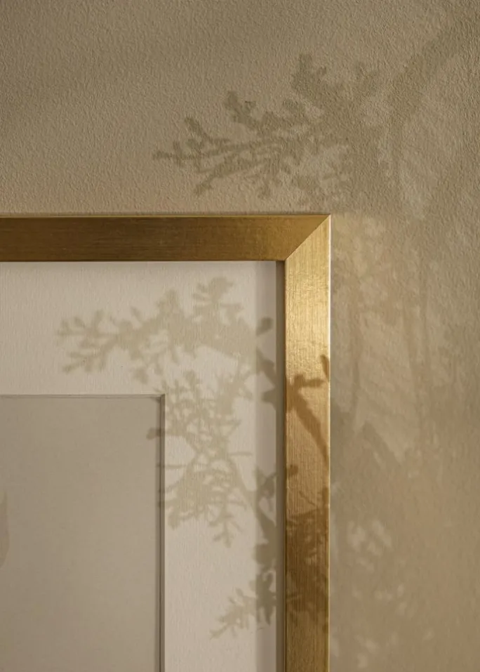 Ramme Selection Akrylglas Guld 40x60 cm