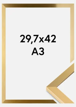 Ramme Selection Akrylglas Guld 29,7x42 cm (A3)