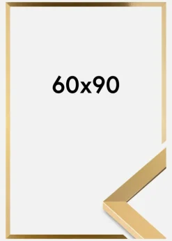 Ramme Selection Akrylglas Guld 60x90 cm