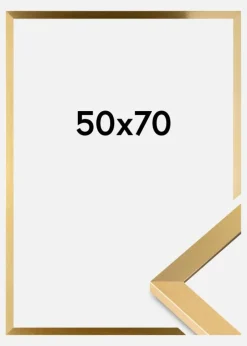 Ramme Selection Akrylglas Guld 50x70 cm