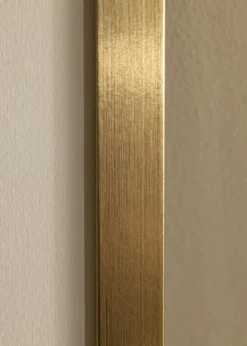 Ramme Selection Akrylglas Guld 30x40 cm