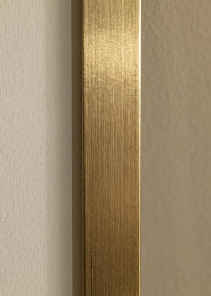 Ramme Selection Akrylglas Guld 30x40 cm
