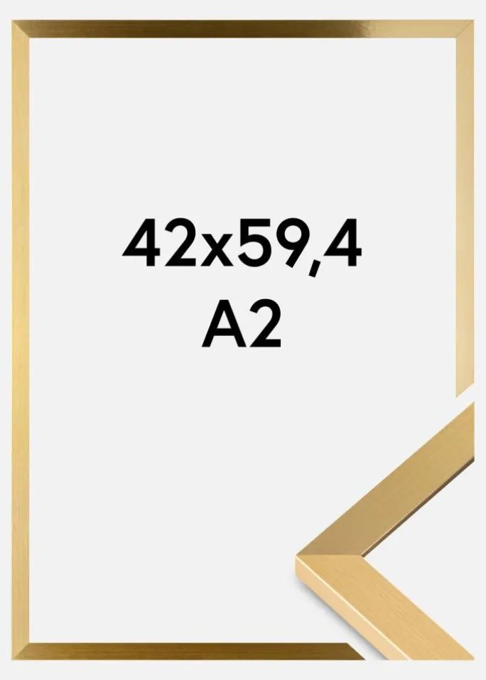 Ramme Selection Akrylglas Guld 42x59,4 cm (A2)