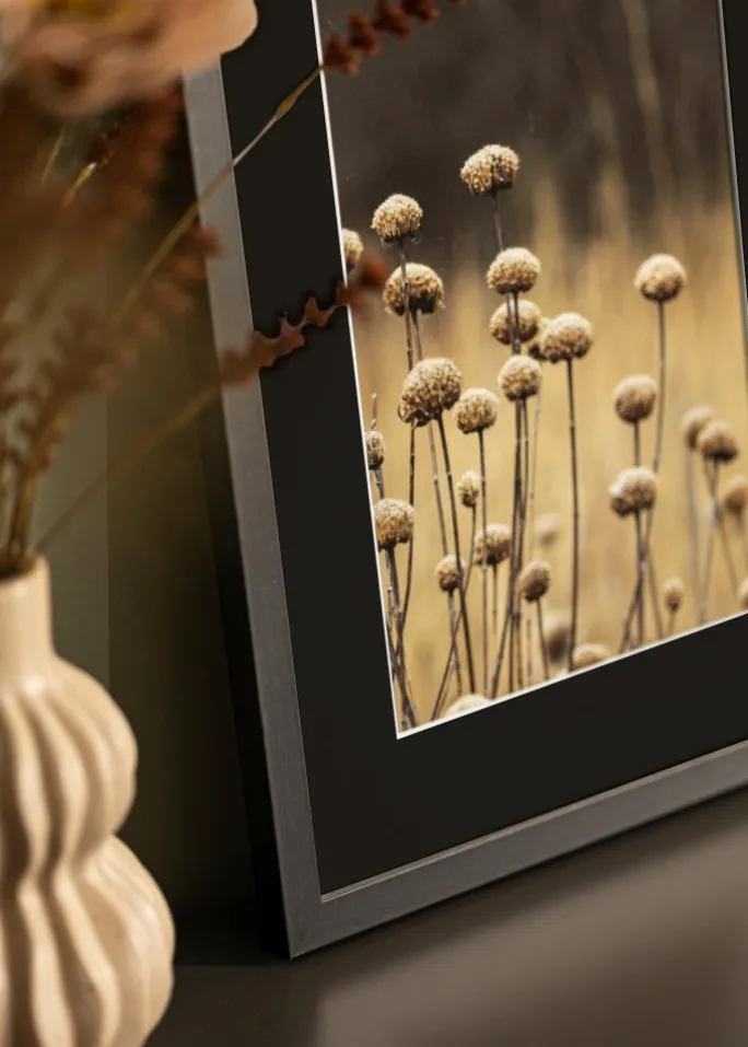 Ramme Selection Sort 40x60 cm - Passepartout Sort 30x50 cm