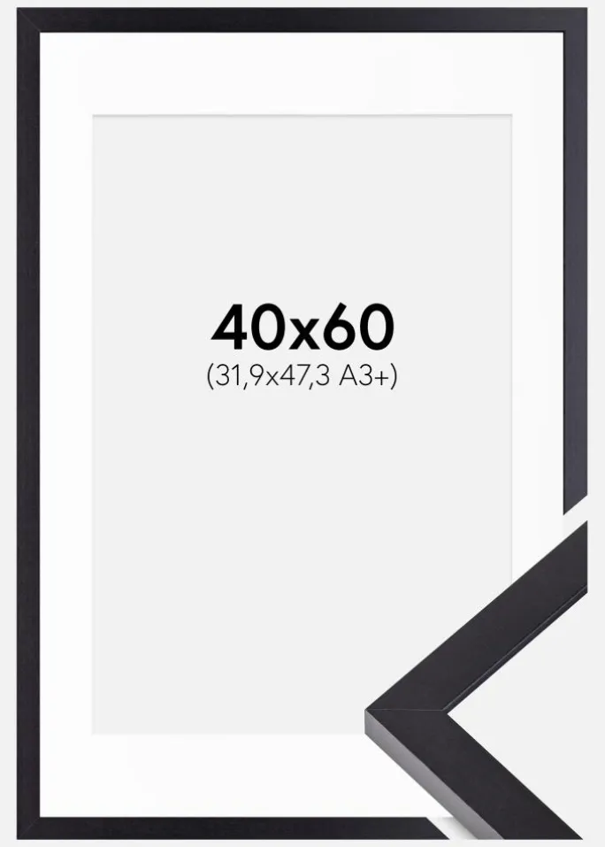 Ramme Selection Sort 40x60 cm - Passepartout Hvid 32,9x48,3 cm (A3+)
