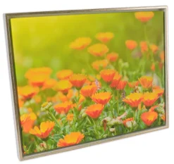 Ramme Åsen Lærred Hvid/Guld - Valgfri Størrelse - Svæveramme (svæveramme)