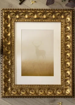 Ramme Skokloster Guld - Valgfri Størrelse (Plexiglas)