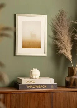 Ramme Sälen Sølv - Valgfri Størrelse (Plexiglas)