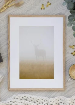 Ramme Smal Eg Akrylglas 42x59,4 cm (A2)