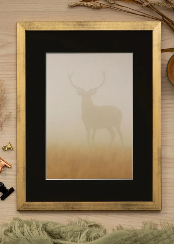 Ramme Stilren Guld 30x40 cm - Passepartout Sort 20x28 cm
