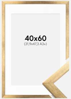 Ramme Stilren Guld 40x60 cm - Passepartout Hvid 32,9x48,3 cm (A3+)