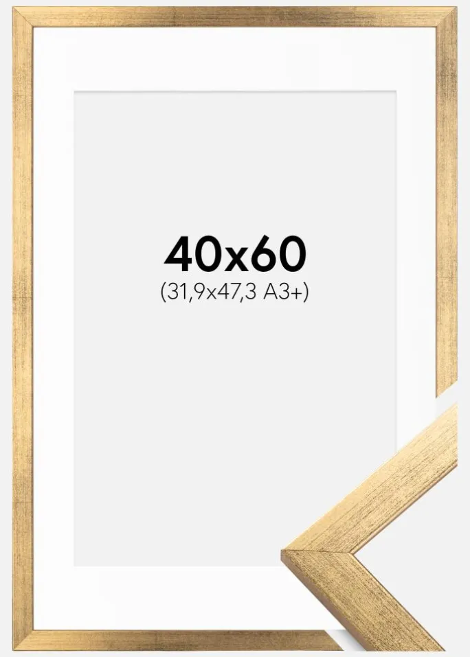 Ramme Stilren Guld 40x60 cm - Passepartout Hvid 32,9x48,3 cm (A3+)