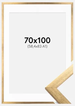 Ramme Stilren Guld 70x100 cm - Passepartout Hvid 59,4x84 cm (A1)
