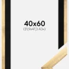 Ramme Stilren Guld 40x60 cm - Passepartout Sort 32,9x48,3 cm (A3+)