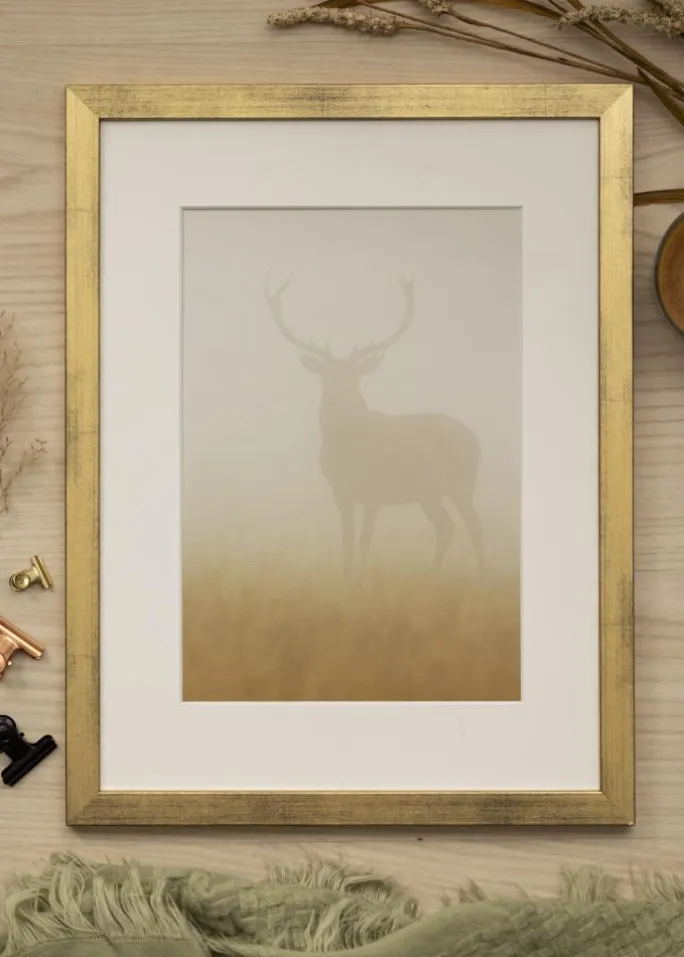 Ramme Stilren Guld 50x60 cm - Passepartout Hvid 35x45 cm