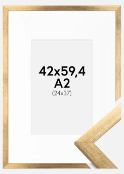 Ramme Stilren Guld 42x59,4 cm (A2) - Passepartout Hvid 25x38 cm