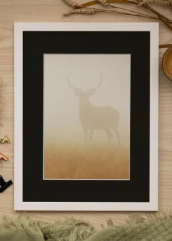 Ramme Stilren Hvid 70x70 cm - Passepartout Sort 60x70 cm