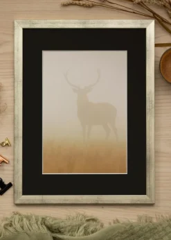 Ramme Stilren Sølv 40x60 cm - Passepartout Sort 32,9x48,3 cm (A3+)