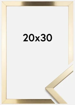Ramme Trendy Akrylglas Guld 20x30 cm