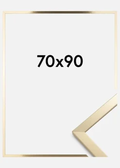 Ramme Trendy Akrylglas Guld 70x90 cm