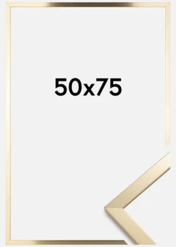 Ramme Trendy Akrylglas Guld 50x75 cm