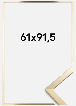 Ramme Trendy Akrylglas Guld 61x91,5 cm