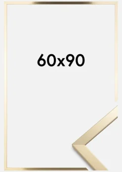 Ramme Trendy Akrylglas Guld 60x90 cm