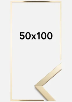 Ramme Trendy Akrylglas Guld 50x100 cm
