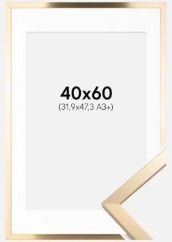 Ramme Trendy Guld 40x60 cm - Passepartout Hvid 32,9x48,3 cm (A3+)
