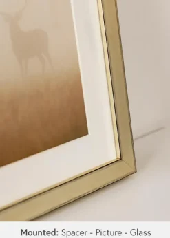 Ramme Tyr Guld - Valgfri Størrelse (Akrylglas)