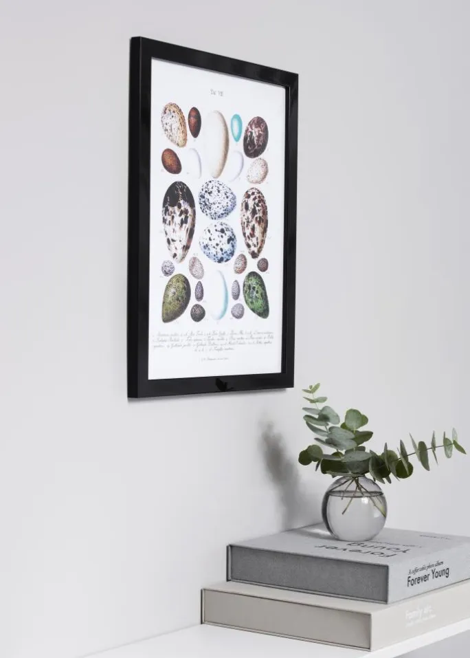 Ramme Uppsala Sort Højblank 50x70 cm - Passepartout Hvid 42x59,4 cm (A2)