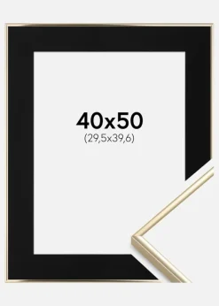 Ramme Visby Blank Guld 40x50 cm - Passepartout Sort 12x16 inches