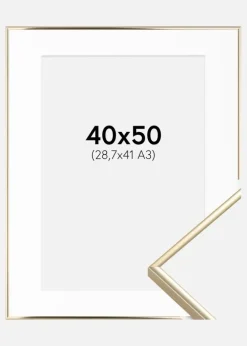 Ramme Visby Blank Guld 40x50 cm - Passepartout Hvid 29,7x42 cm (A3)