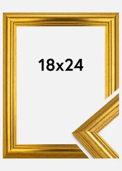 Ramme Västkusten Akrylglas Guld 18x24 cm