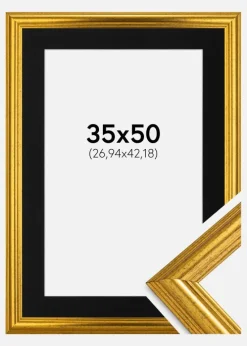 Ramme Västkusten Guld 35x50 cm - Passepartout Sort 11x17 inches