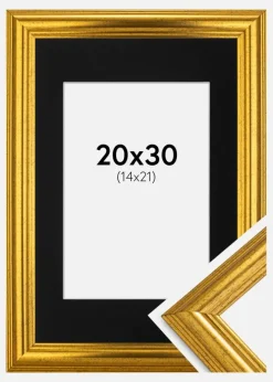 Ramme Västkusten Guld 20x30 cm - Passepartout Sort 15x22 cm