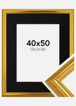 Ramme Västkusten Guld 40x50 cm - Passepartout Sort 27,5x37 cm