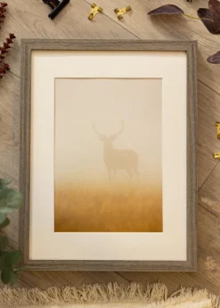 Ramme Wood Selection Grey II - Valgfri Størrelse (Akrylglas)