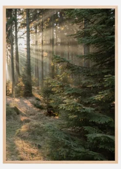 Rays part 2 Plakat (21x29.7 cm (A4))