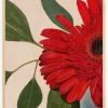 Red Gerbera Daisy Detail2 Plakat (21x29.7 cm (A4))