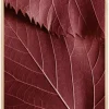 Red Leaves Plakat (21x29.7 cm (A4))