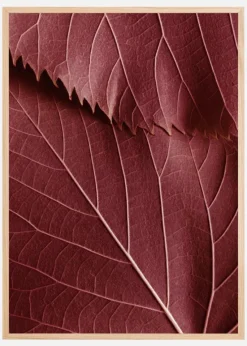 Red Leaves Plakat (21x29.7 cm (A4))
